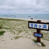 与論島に出現する幻の砂浜「百合ヶ浜」に行きたい！グラスボートの船長さんにあれこれ聞いてみました