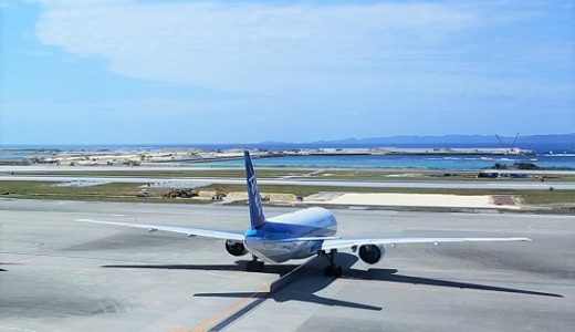 2019年の飛行機旅を振り返ります