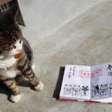 猫好きさん必見！福井県にある猫寺こと御誕生寺へ行ってきました