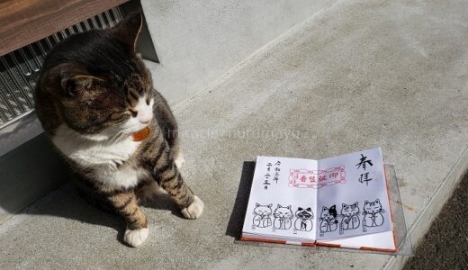 猫好きさん必見！福井県にある猫寺こと御誕生寺へ行ってきました