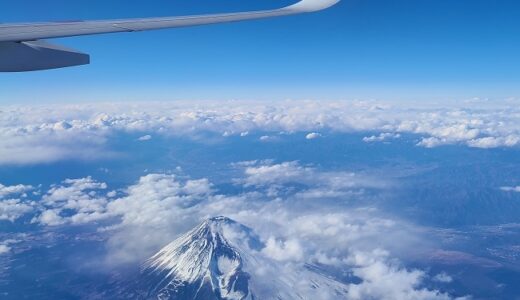 2022年の飛行機旅を振り返ります