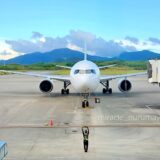 2025年の飛行機旅を振り返ります