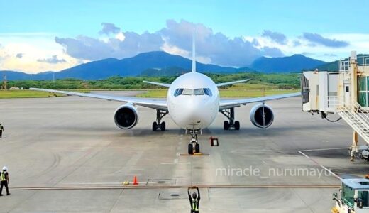 2025年の飛行機旅を振り返ります