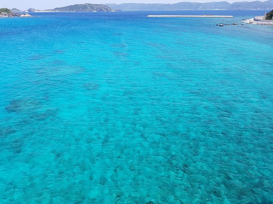 那覇からフェリーで日帰り離島旅 阿嘉島の海は一見の価値あり ぬるまゆのぬるっと飛行機旅